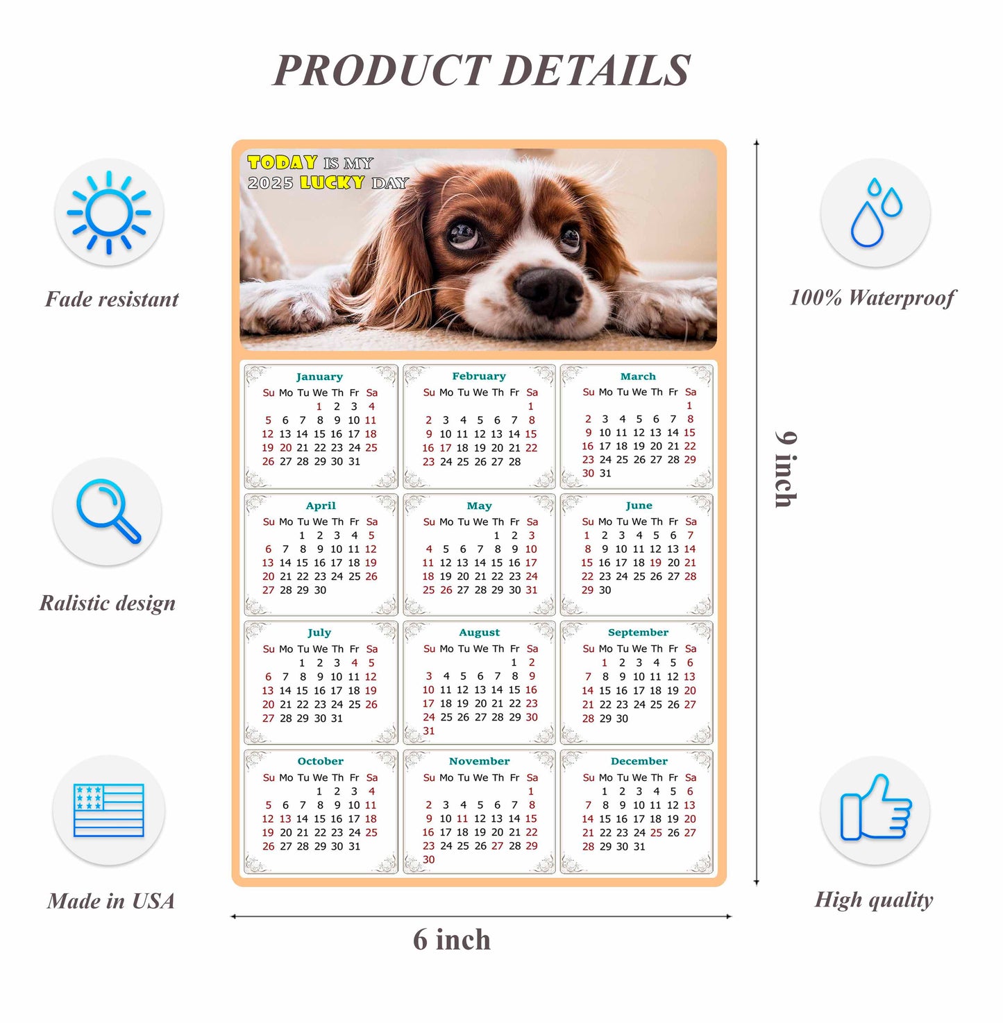 2025 Peel & Stick Calendar - Today is my Lucky Day Removable - Dogs 01 (9"x 6")