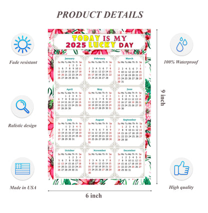 2025 Peel & Stick Calendar - Today is my Lucky Day Removable - 018