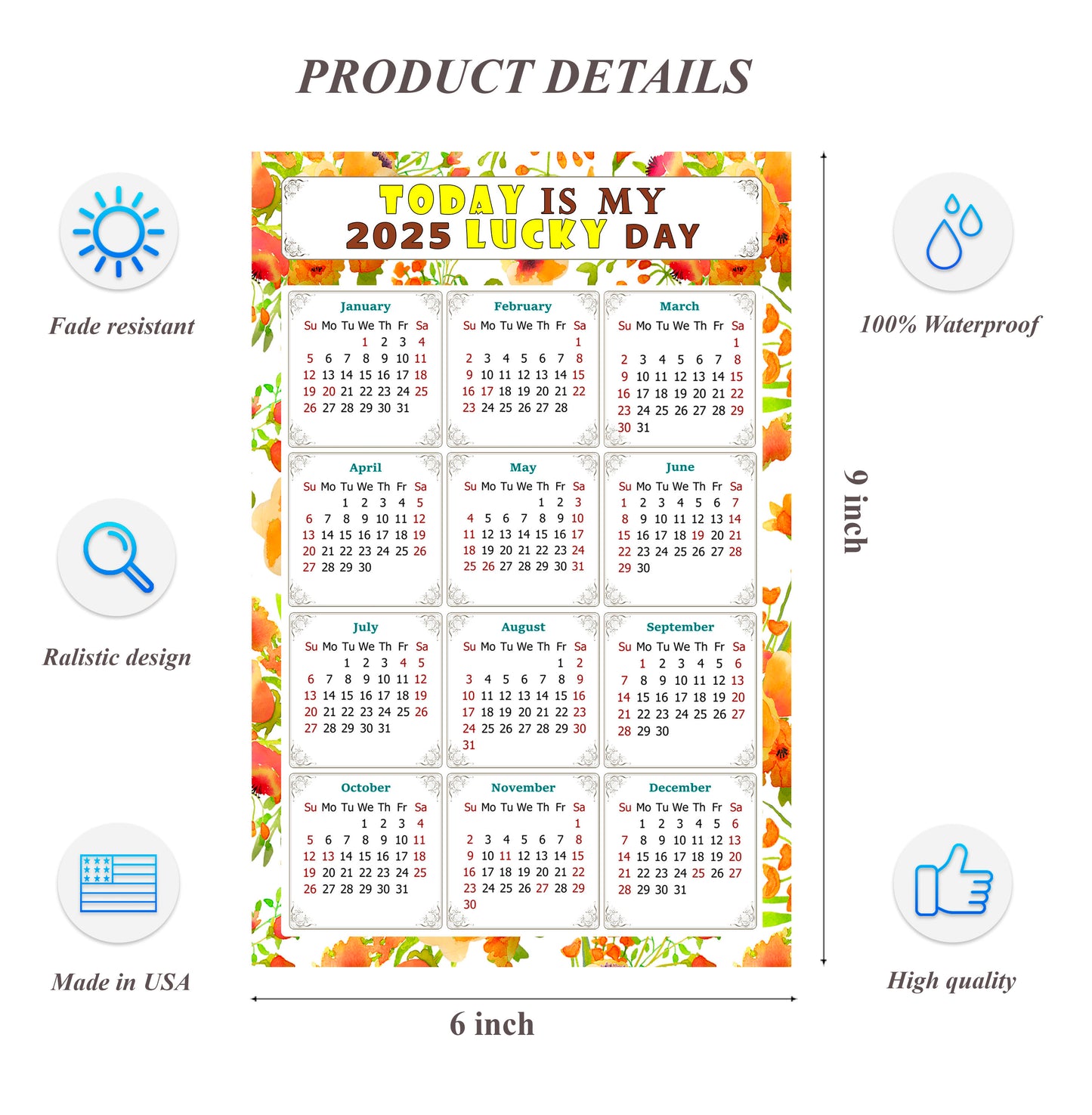 2025 Peel & Stick Calendar - Today is my Lucky Day Removable - 021