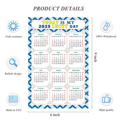 2025 Peel & Stick Calendar - Today is my Lucky Day Removable - 035