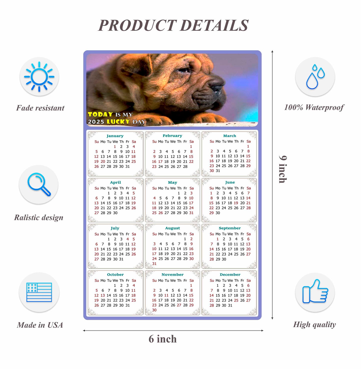 2025 Peel & Stick Calendar - Today is my Lucky Day Removable - Dogs 012 (9"x 6")