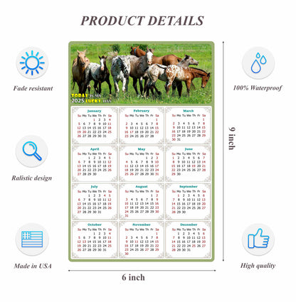 2025 Peel & Stick Calendar - Today is my Lucky Day Removable - Horses 02 (9"x 6")