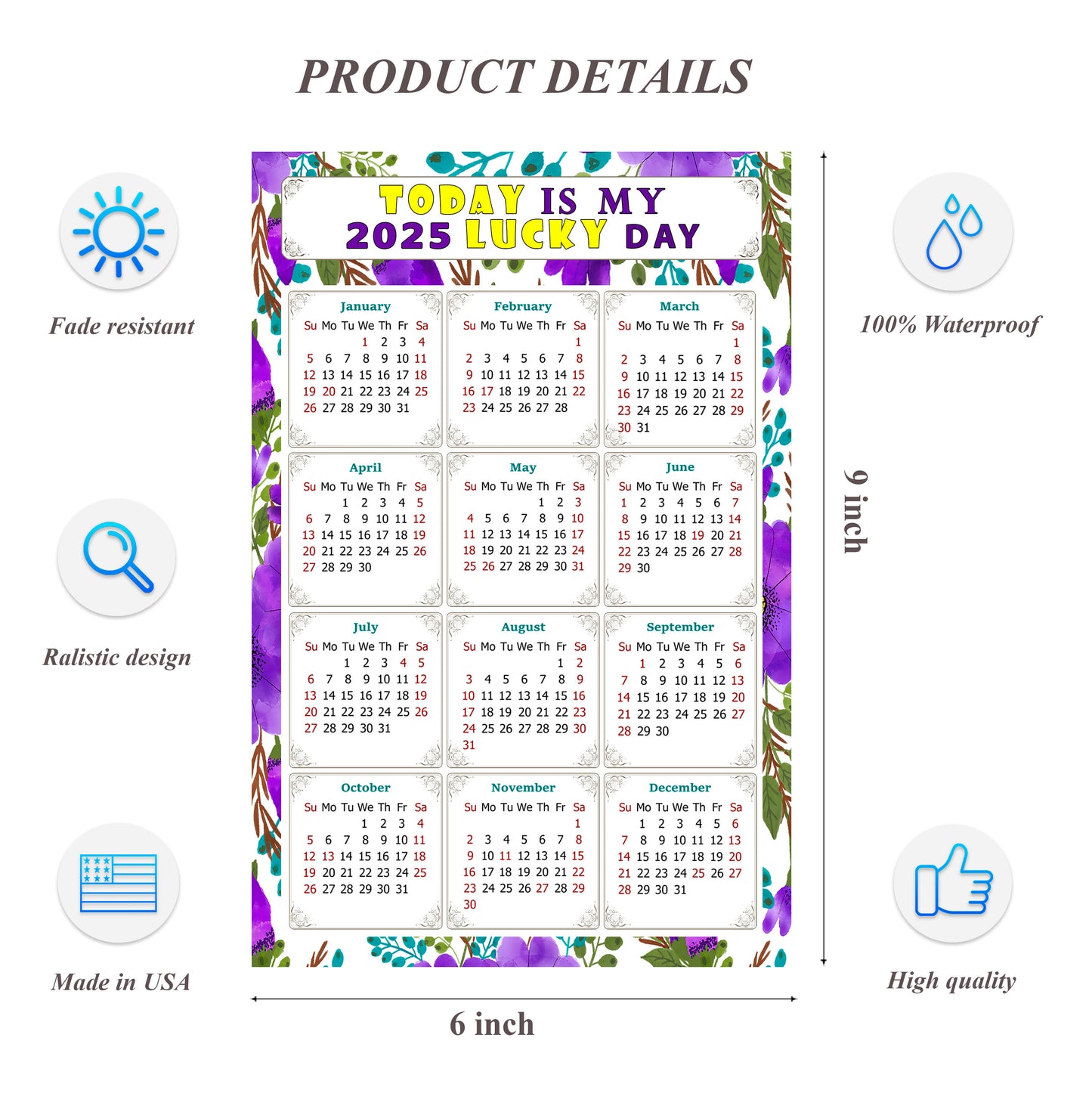 2025 Peel & Stick Calendar - Today is my Lucky Day Removable - 024