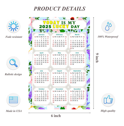 2025 Peel & Stick Calendar - Today is my Lucky Day Removable - 016