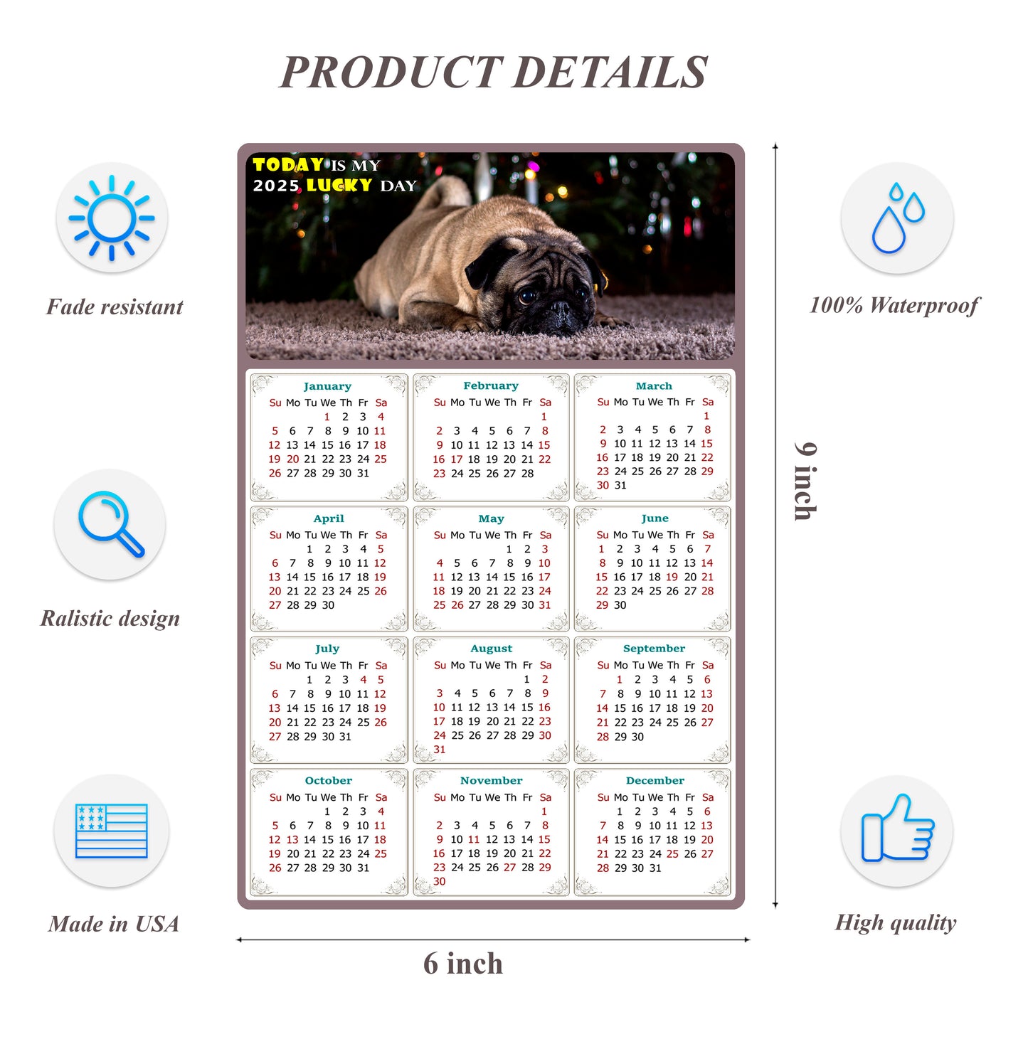 2025 Peel & Stick Calendar - Today is my Lucky Day Removable - Dogs 02 (9"x 6")