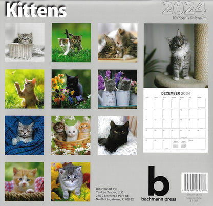 2024 Kittens Full Size Wall Calendar for Planning, Scheduling, and Organizing