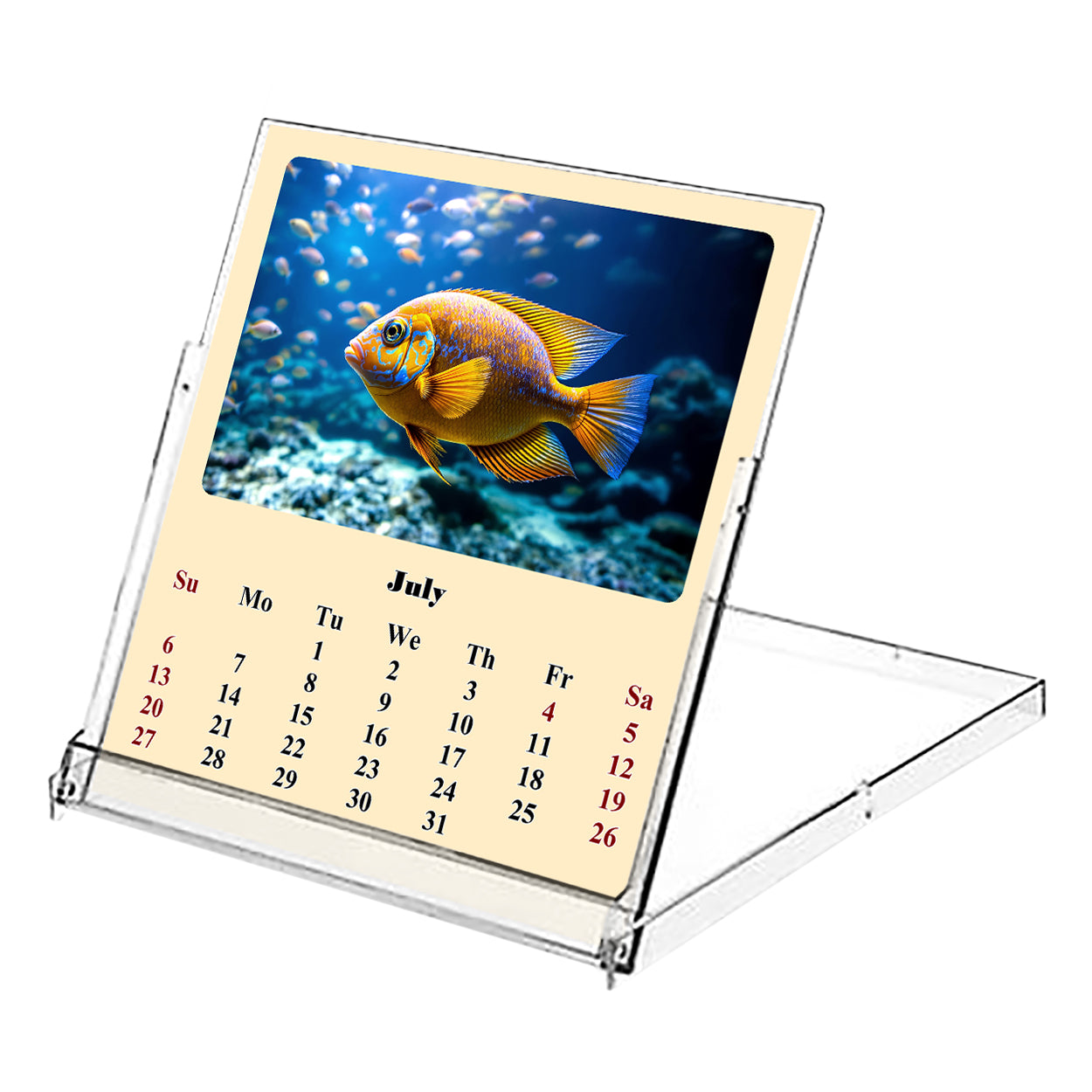 2025-2026 CD-Style Desk Calendar 18 Months Calendar (Tropical Fishes)