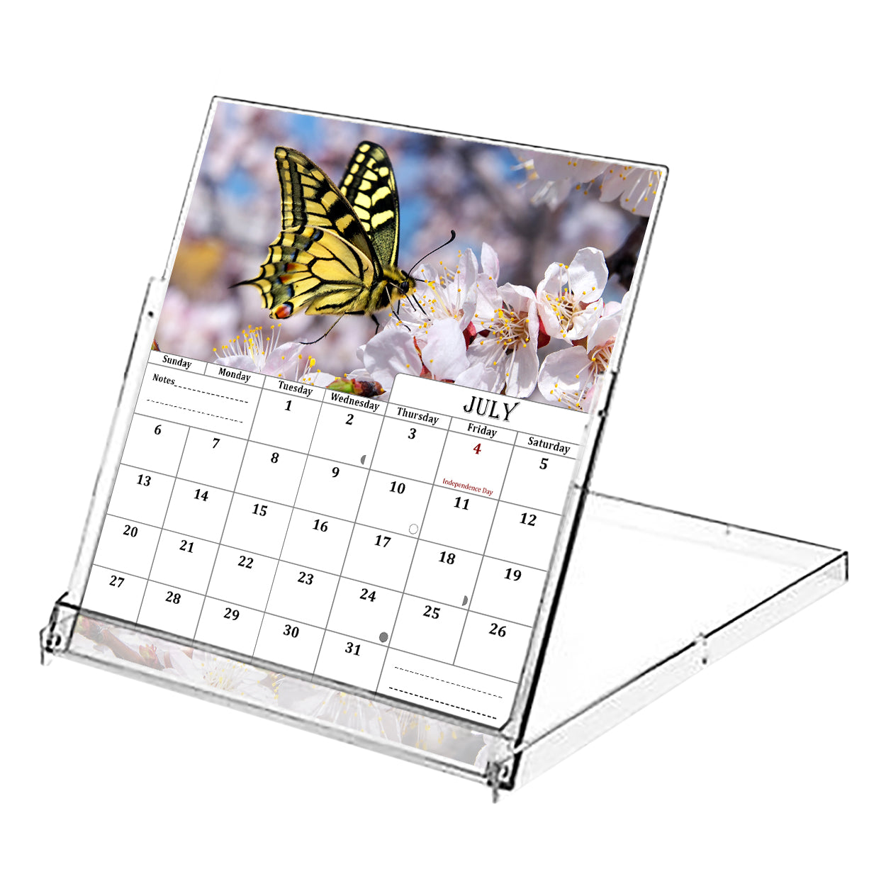 2025-2026 CD-Style Desk Calendar 18 Months Calendar (Butterflies)