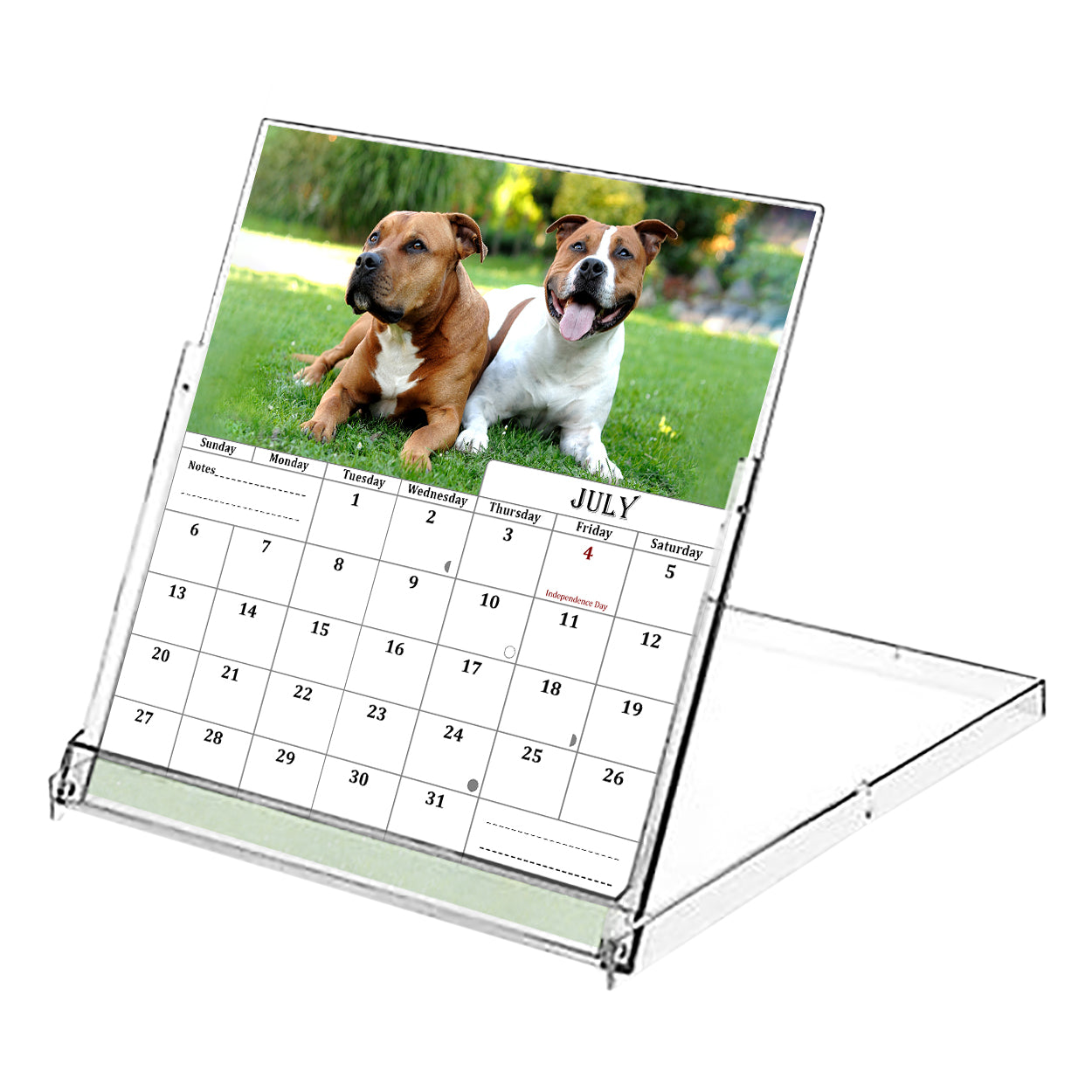 2025-2026 CD-Style Desk Calendar 18 Months Calendar (Dogs)