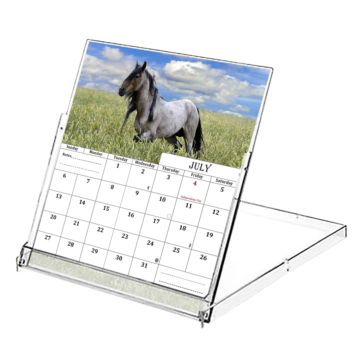 2025-2026 CD-Style Desk Calendar 18 Months Calendar (Horses)