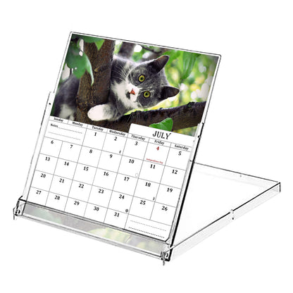 2025-2026 CD-Style Desk Calendar 18 Months Calendar (Cats)