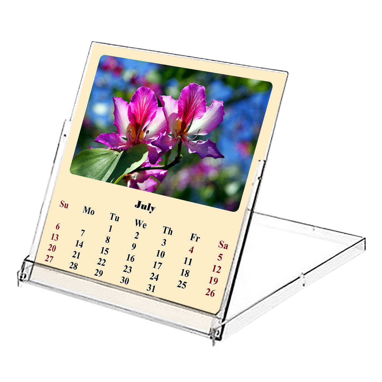 2025-2026 CD-Style Desk Calendar 18 Months Calendar (Flowers)