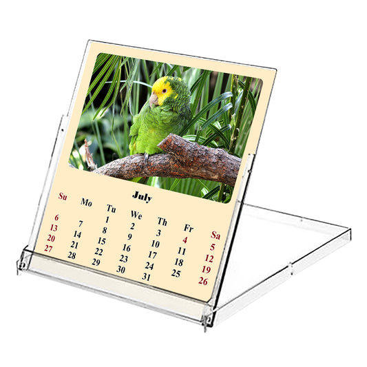 2025-2026 CD-Style Desk Calendar 18 Months Calendar (Birds)