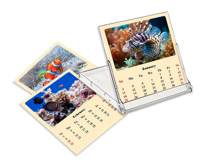 2025-2026 CD-Style Desk Calendar 18 Months Calendar (Tropical Fishes)