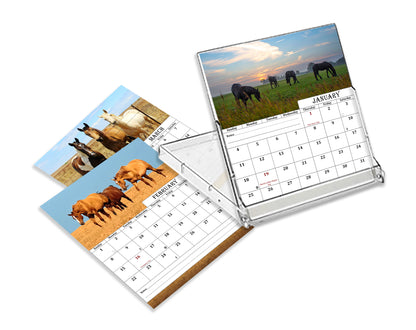 2025-2026 CD-Style Desk Calendar 18 Months Calendar (Horses)