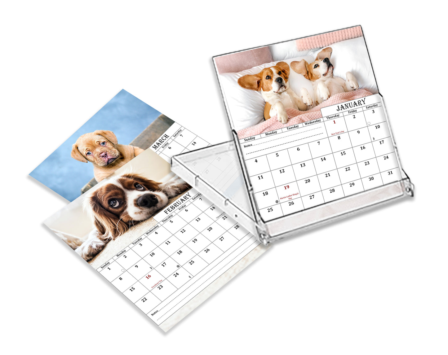 2025-2026 CD-Style Desk Calendar 18 Months Calendar (Dogs)