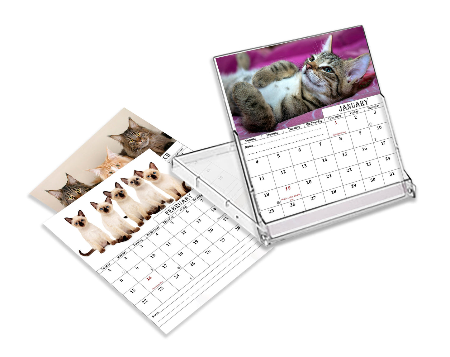 2025-2026 CD-Style Desk Calendar 18 Months Calendar (Cats)