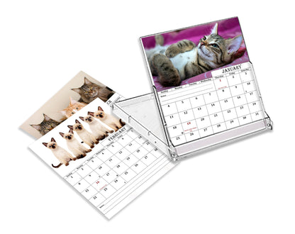 2025-2026 CD-Style Desk Calendar 18 Months Calendar (Cats)