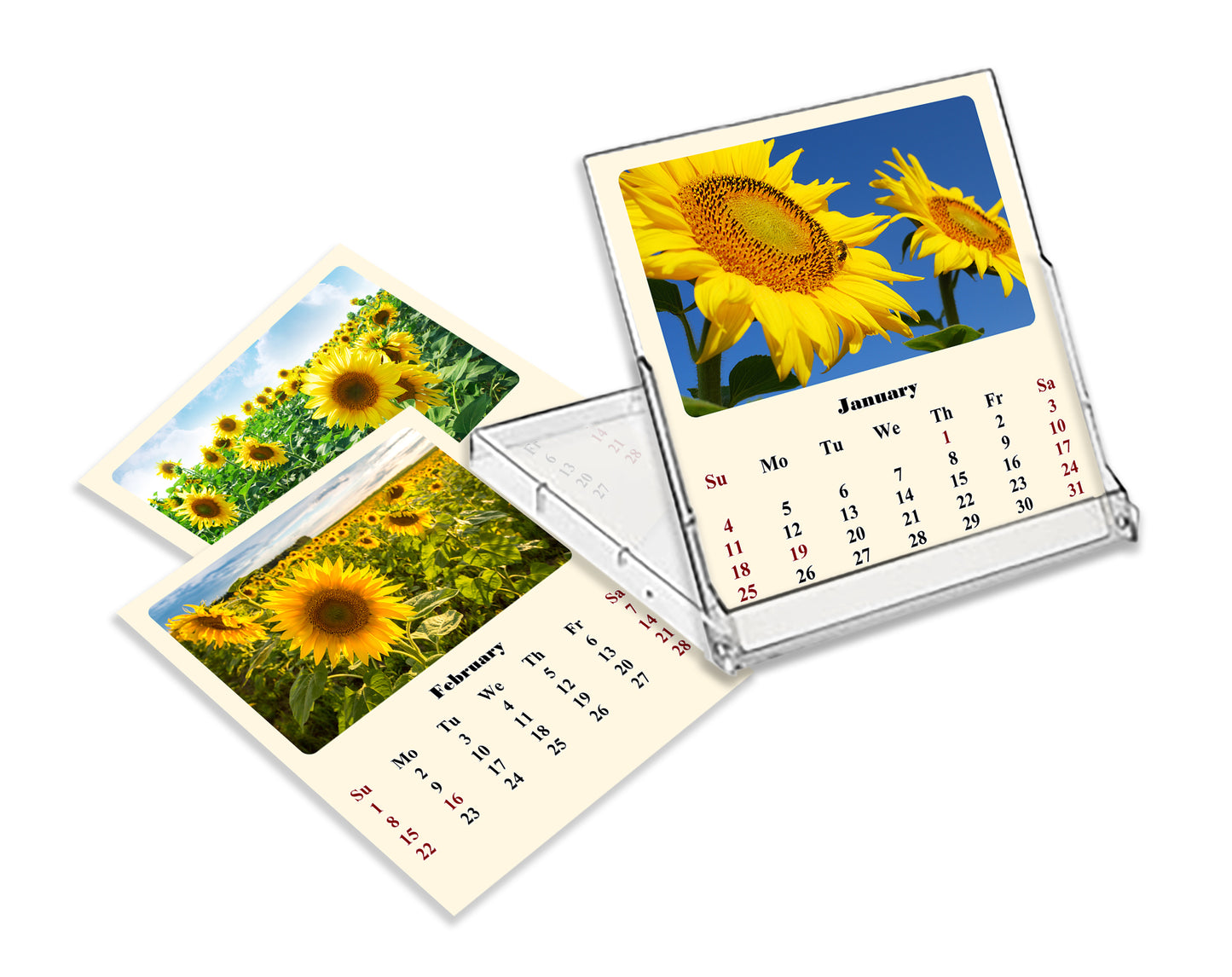 2025-2026 CD-Style Desk Calendar 18 Months Calendar (Sunflowers)