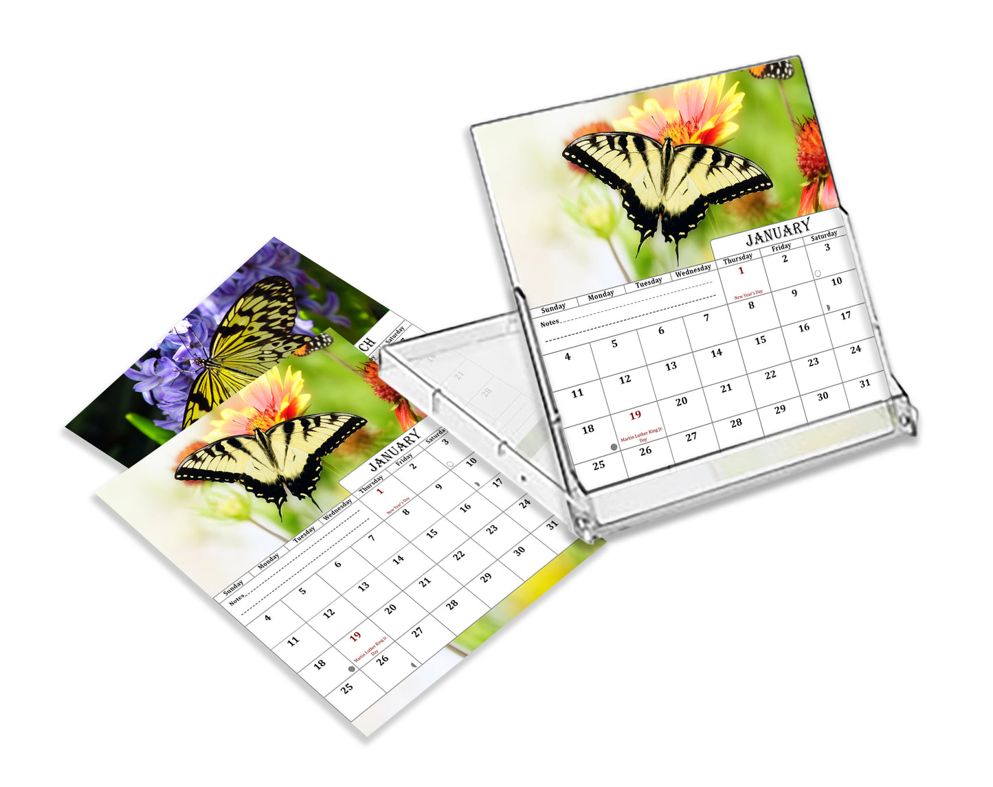 2025-2026 CD-Style Desk Calendar 18 Months Calendar (Butterflies)