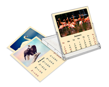 2025-2026 CD-Style Desk Calendar 18 Months Calendar (Birds)