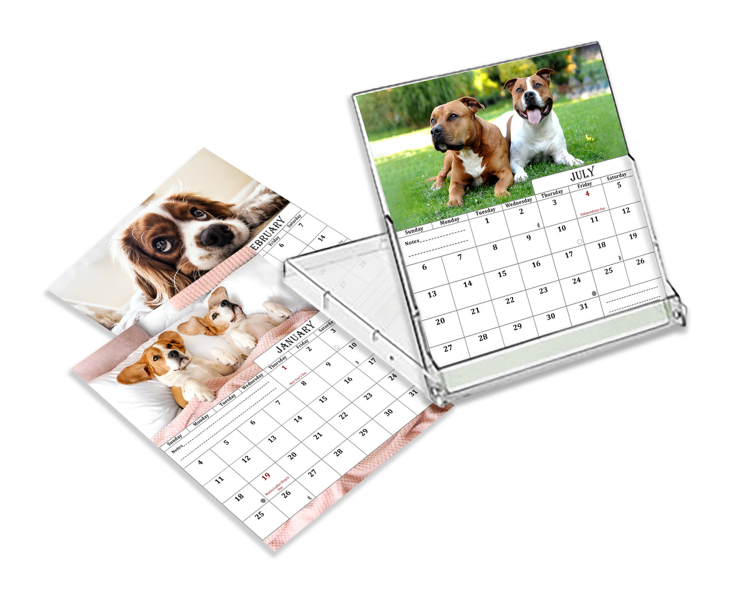 2025-2026 CD-Style Desk Calendar 18 Months Calendar (Dogs)