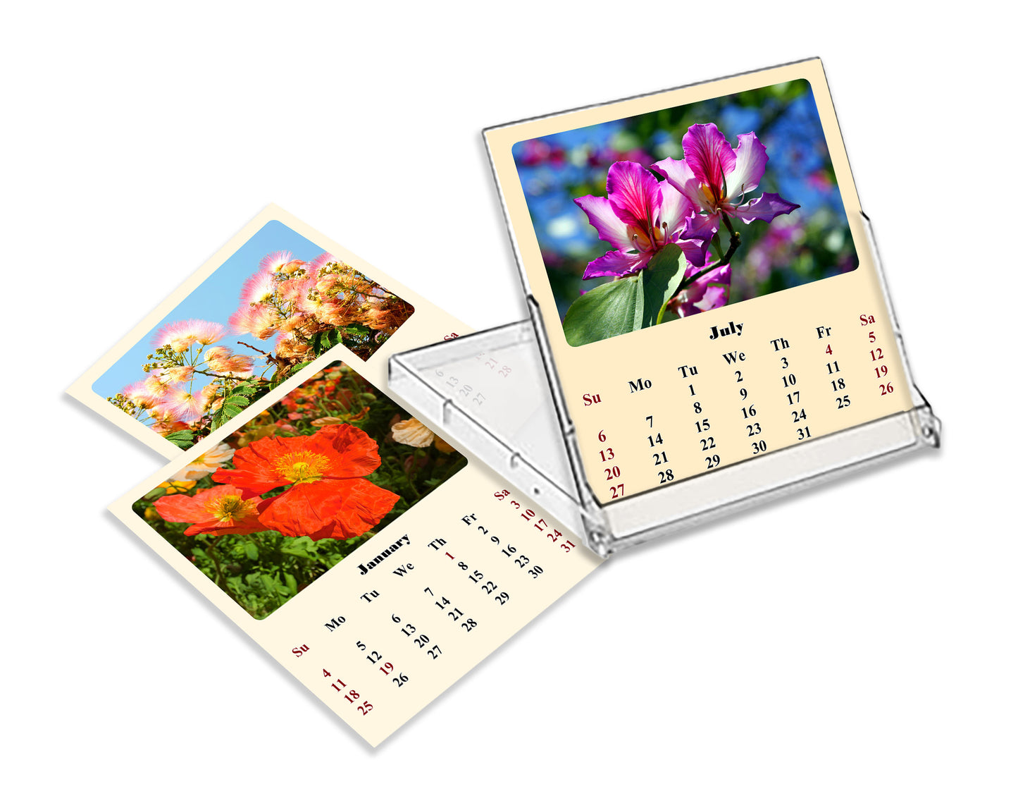 2025-2026 CD-Style Desk Calendar 18 Months Calendar (Flowers)