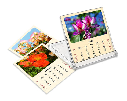 2025-2026 CD-Style Desk Calendar 18 Months Calendar (Flowers)