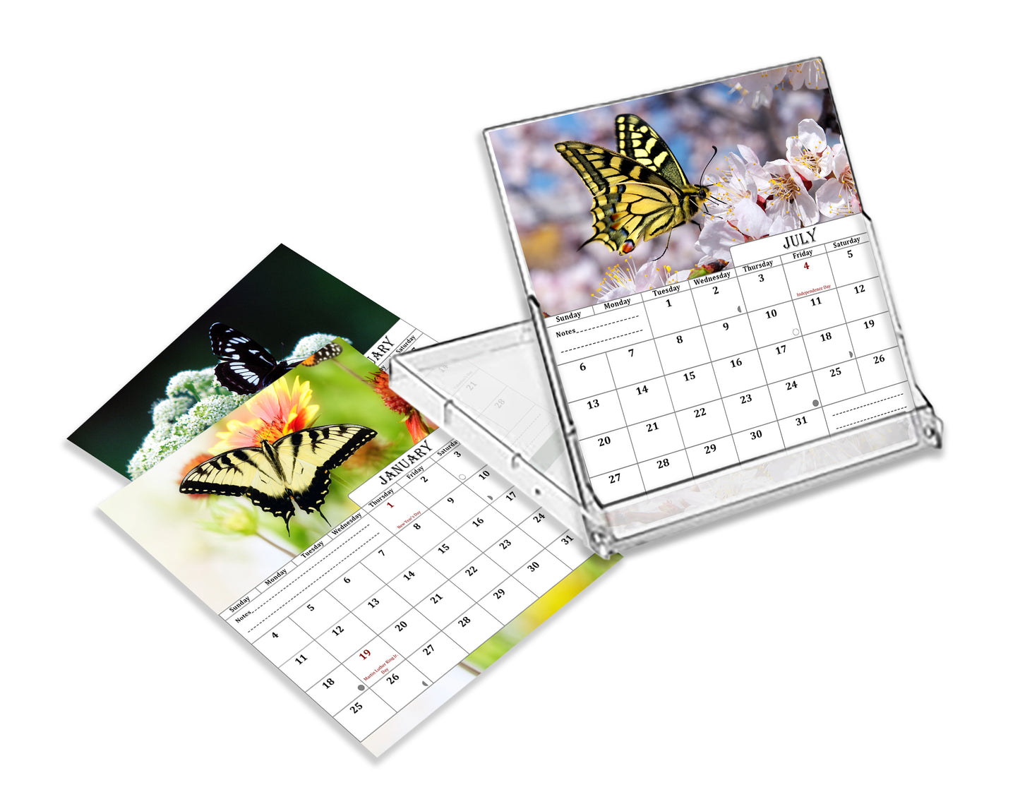 2025-2026 CD-Style Desk Calendar 18 Months Calendar (Butterflies)