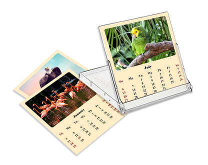 2025-2026 CD-Style Desk Calendar 18 Months Calendar (Birds)