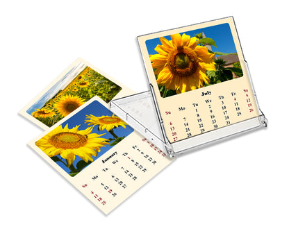 2025-2026 CD-Style Desk Calendar 18 Months Calendar (Sunflowers)