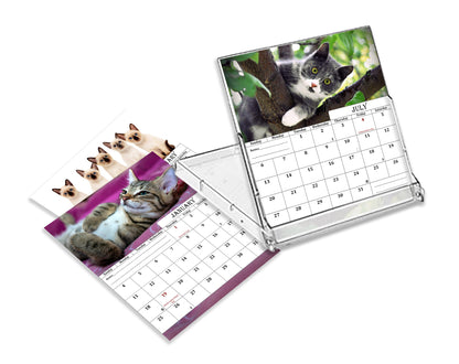 2025-2026 CD-Style Desk Calendar 18 Months Calendar (Cats)