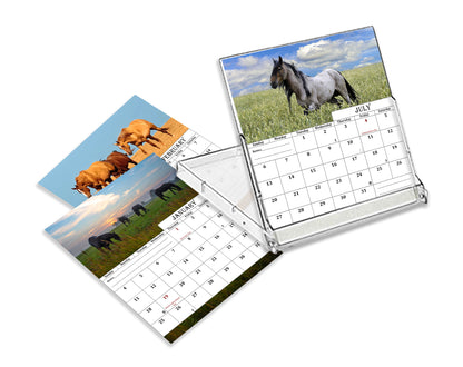 2025-2026 CD-Style Desk Calendar 18 Months Calendar (Horses)