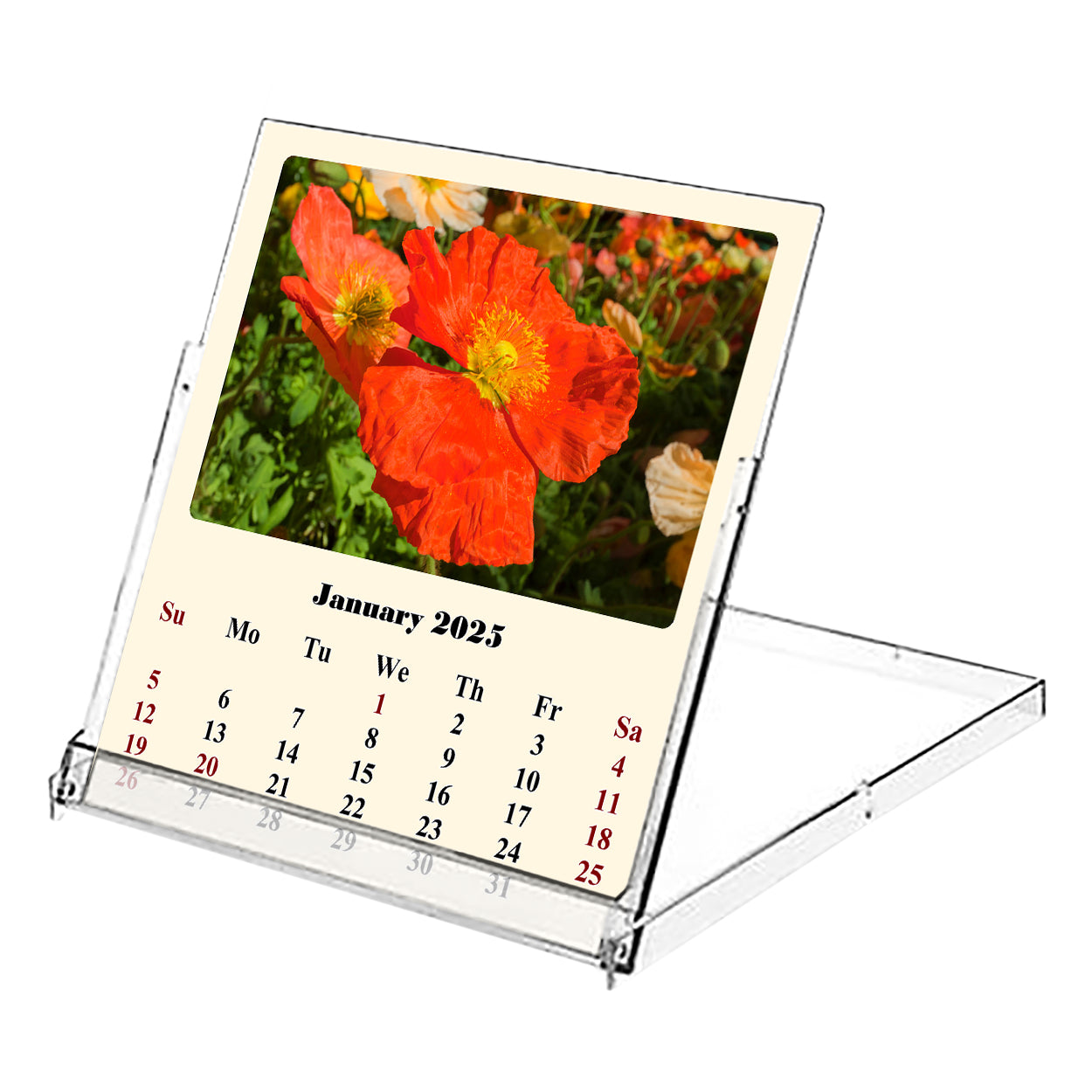 2025 CD-Style Desk Calendar 12 Months Calendar / Planner / Desk Calendar With CD Case Stand, Office Decor, Christmas Gifts (Flowers)