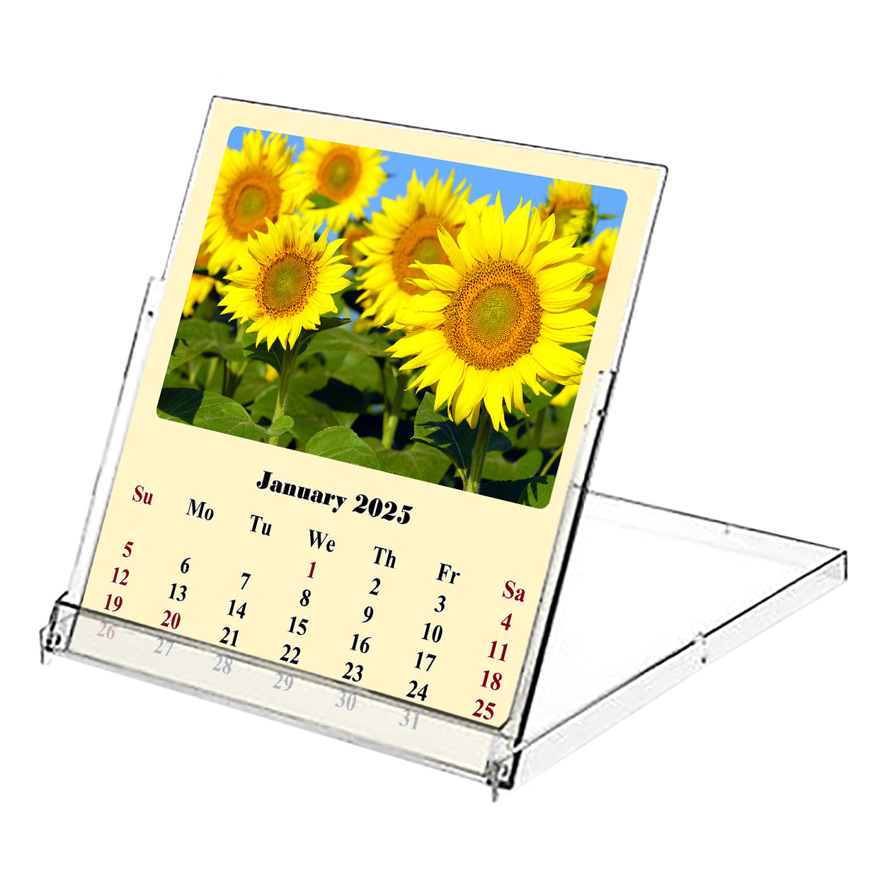 2025 CD-Style Desk Calendar 12 Months Calendar / Planner / Desk Calendar With CD Case Stand, Office Decor, Christmas Gifts (Sunflowers)