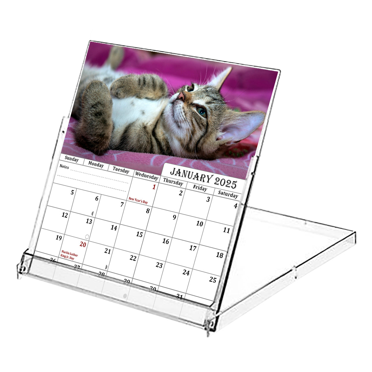 2025 CD-Style Desk Calendar 12 Months Calendar / Planner / Desk Calendar With CD Case Stand, Office Decor, Christmas Gifts (Cats)