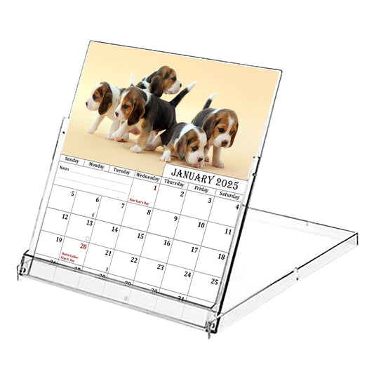 2025 CD-Style Desk Calendar 12 Months Calendar / Planner / Desk Calendar With CD Case Stand, Office Decor, Christmas Gifts (Dogs)