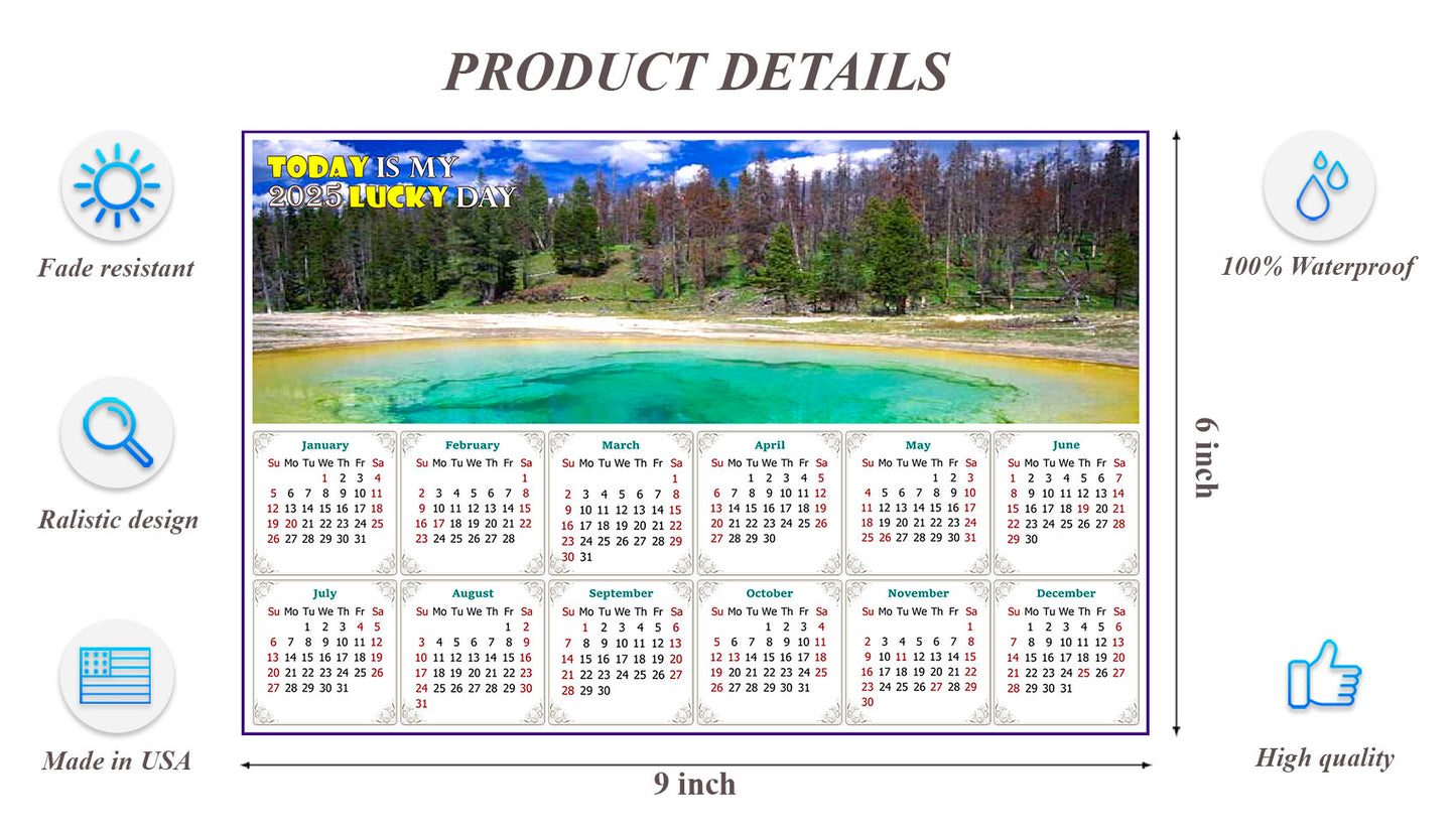 2025 Peel & Stick Calendar - Today is my Lucky Day - Removable, Repositionable - 029 (9"x 6")