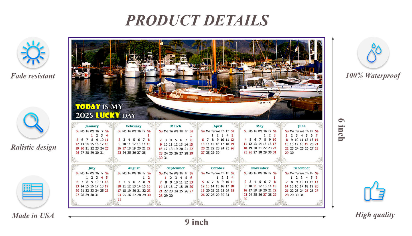 2025 Peel & Stick Calendar - Today is my Lucky Day - Removable, Repositionable - 049 (9"x 6")