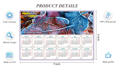 2025 Peel & Stick Calendar - Today is my Lucky Day - Removable, Repositionable - 036 (9"x 6")