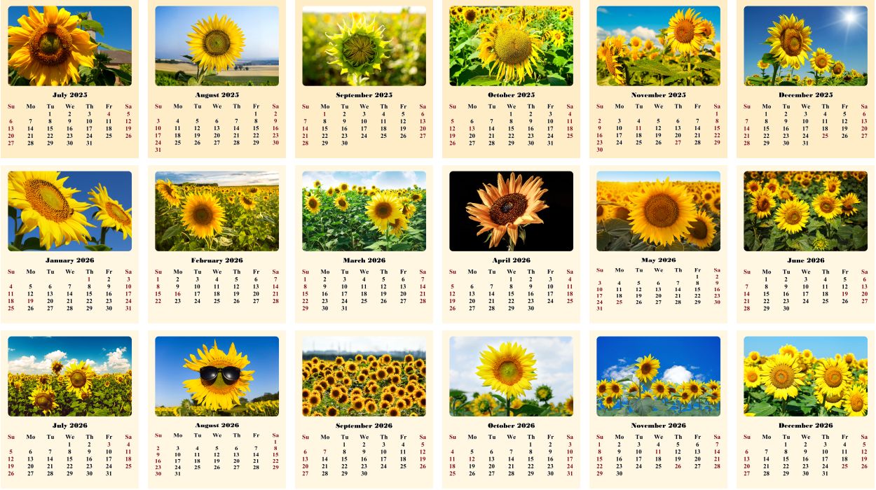 2025-2026 CD-Style Desk Calendar 18 Months Calendar (Sunflowers)