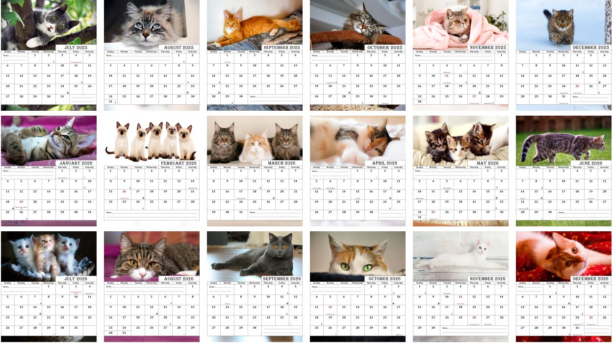 2025-2026 CD-Style Desk Calendar 18 Months Calendar (Cats)