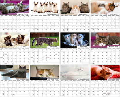 2025 CD-Style Desk Calendar 12 Months Calendar / Planner / Desk Calendar With CD Case Stand, Office Decor, Christmas Gifts (Cats)