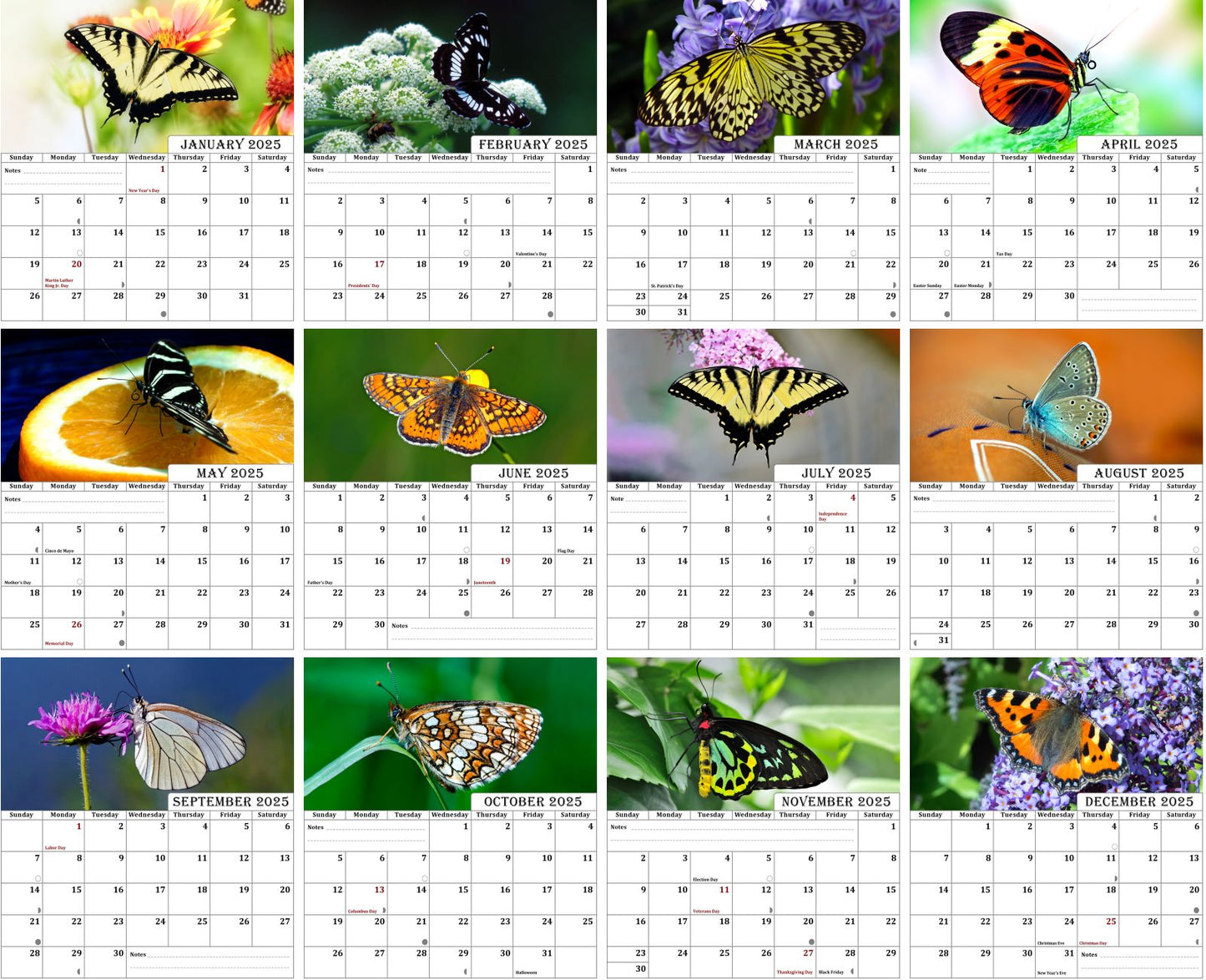 2025 CD-Style Desk Calendar 12 Months Calendar / Planner / Desk Calendar With CD Case Stand, Office Decor, Christmas Gifts (Butterflies)