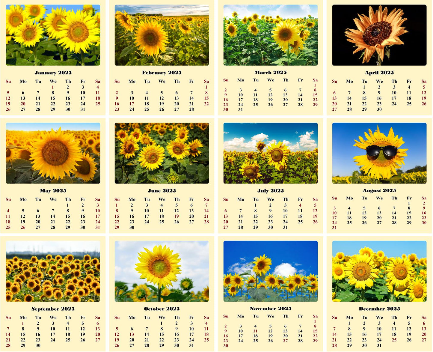 2025 CD-Style Desk Calendar 12 Months Calendar / Planner / Desk Calendar With CD Case Stand, Office Decor, Christmas Gifts (Sunflowers)