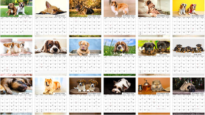 2025-2026 CD-Style Desk Calendar 18 Months Calendar (Dogs)