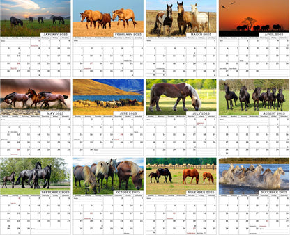 2025 CD-Style Desk Calendar 12 Months Calendar / Planner / Desk Calendar With CD Case Stand, Office Decor, Christmas Gifts (Horses)