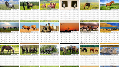 2025-2026 CD-Style Desk Calendar 18 Months Calendar (Horses)