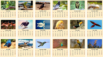 2025-2026 CD-Style Desk Calendar 18 Months Calendar (Birds)