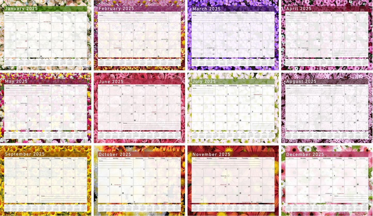 2025 Monthly Magnetic/Desk Calendar - 12 Months Desktop/Wall Calendar/Planner - (Edition #23)